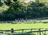 EL130924-53 - Emma Lavelle Stable Visit